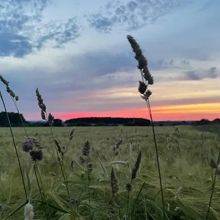 Aan Bosrand In Eifel Nabij Cochem-zell Aan De Moezel - Dichtbij De Calmont Klettersteig Bremm - House Dom wakacyjny *