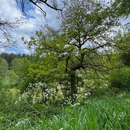 בית נופש Aan Bosrand In Eifel Nabij Cochem-zell Aan De Moezel - Dichtbij De Calmont Klettersteig Bremm - House *