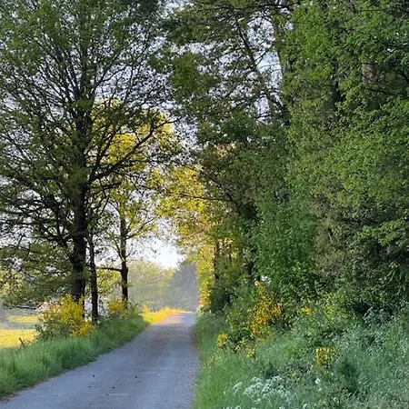 Aan Bosrand In Eifel Nabij Cochem-zell Aan De Moezel - Dichtbij De Calmont Klettersteig Bremm - House Dom wakacyjny *