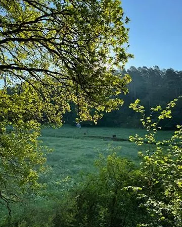 Aan Bosrand In Eifel Nabij Cochem-zell Aan De Moezel - Dichtbij De Calmont Klettersteig Bremm - House Dom wakacyjny *