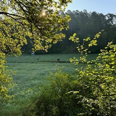 Aan Bosrand In Eifel Nabij Cochem-zell Aan De Moezel - Dichtbij De Calmont Klettersteig Bremm - House Dom wakacyjny *
