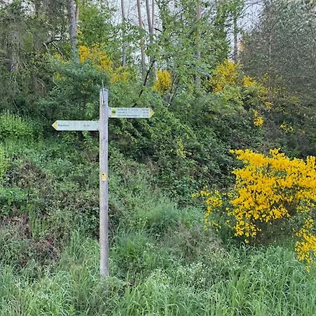 Aan Bosrand In Eifel Nabij Cochem-zell Aan De Moezel - Dichtbij De Calmont Klettersteig Bremm - House בית נופש Wagenhausen
